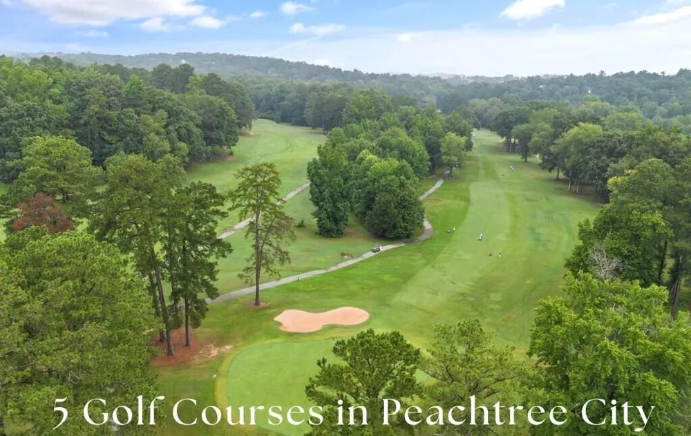 910 Laurel Brooke Avenue Peachtree City, GA 30269
