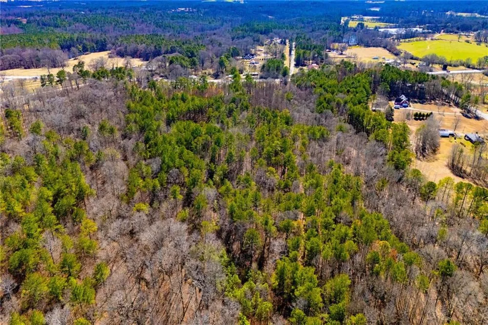 0 Hwy 166 E - 21+ acres Bowdon, GA 30108
