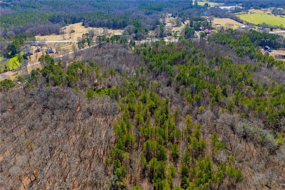 0 Hwy 166 E - 21+ acres Bowdon, GA 30108
