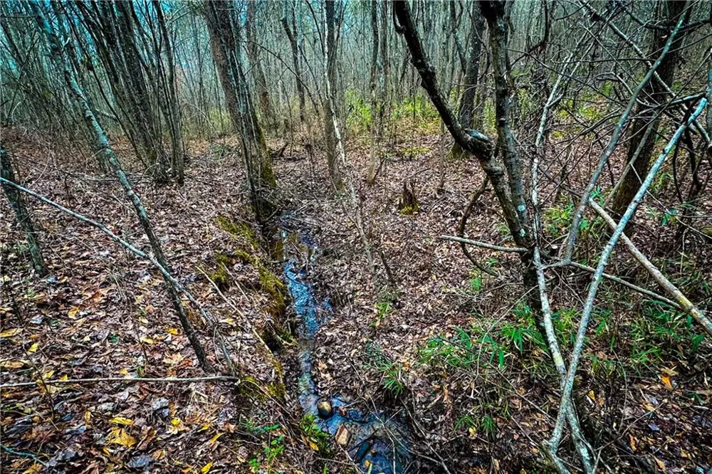0 Hwy 166 E - 21+ acres Bowdon, GA 30108
