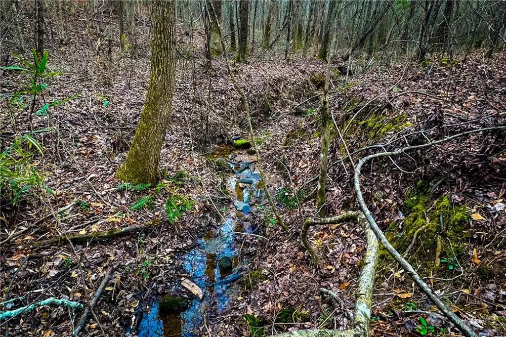 0 Hwy 166 E - 21+ acres Bowdon, GA 30108