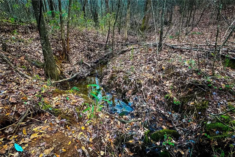 0 Hwy 166 E - 21+ acres Bowdon, GA 30108