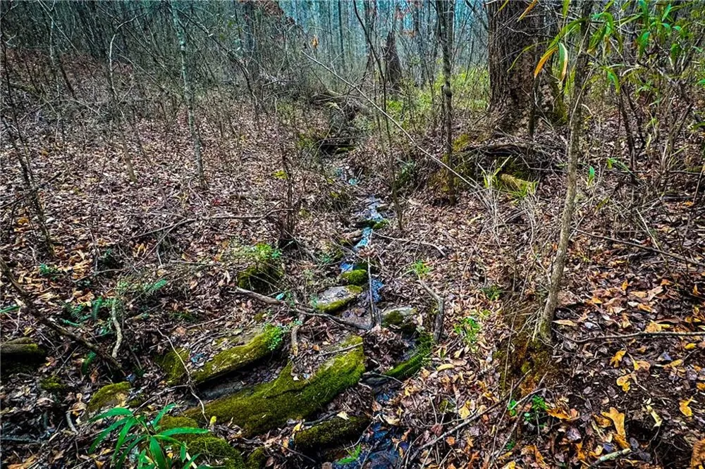 0 Hwy 166 E - 21+ acres Bowdon, GA 30108