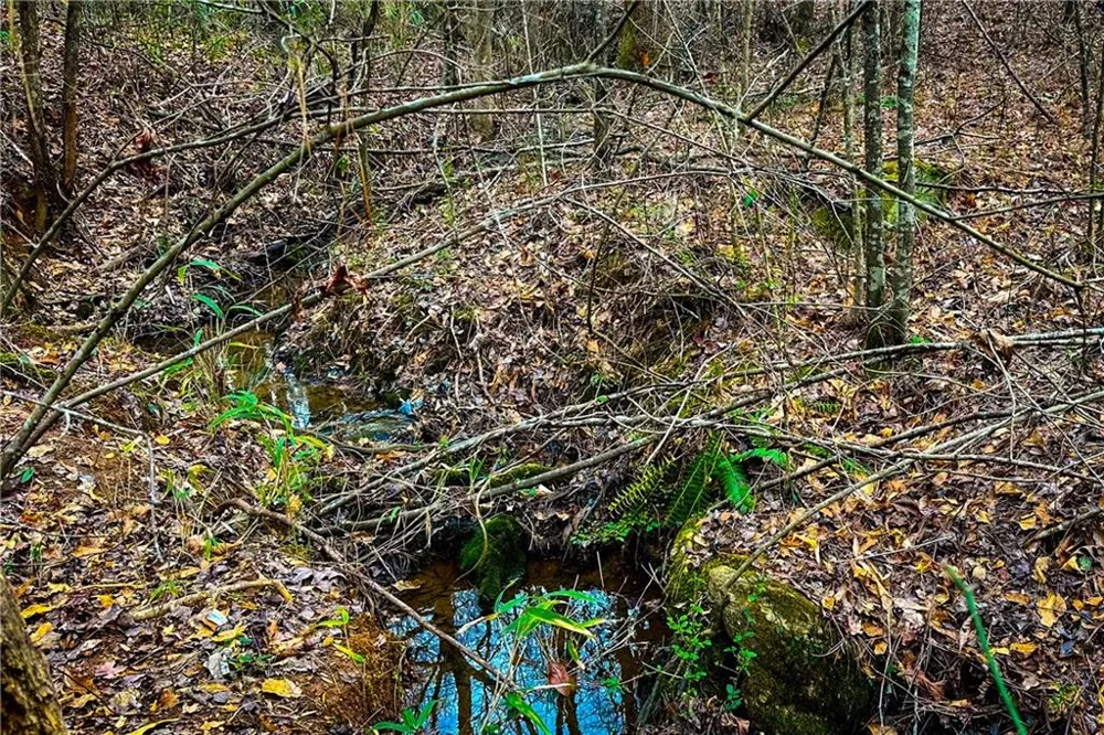 0 Hwy 166 E - 21+ acres Bowdon, GA 30108