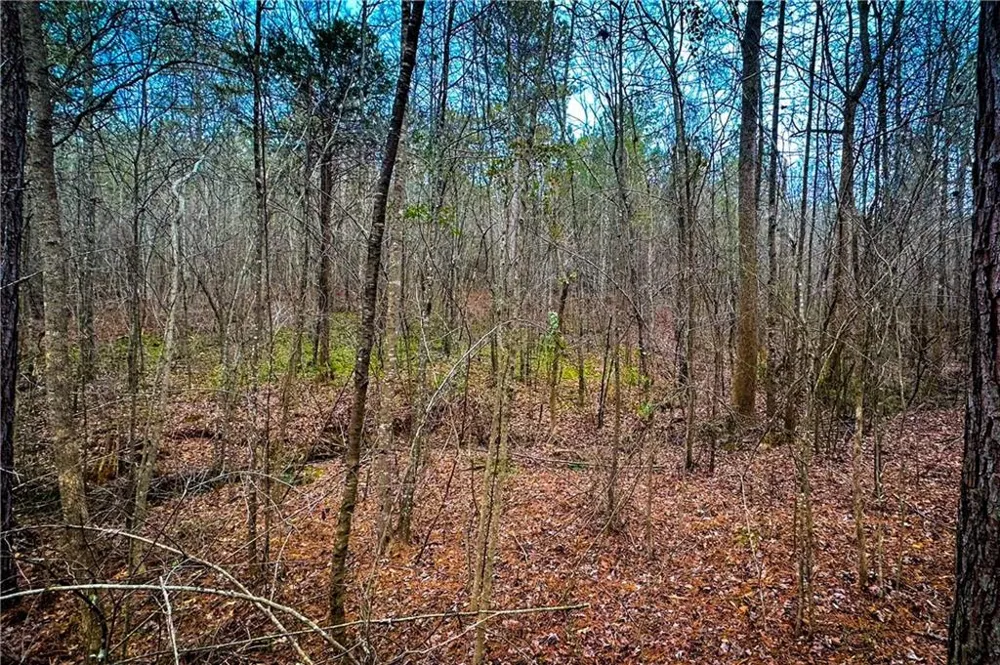 0 Hwy 166 E - 21+ acres Bowdon, GA 30108