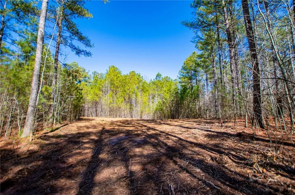0 Hwy 166 E - 21+ acres Bowdon, GA 30108