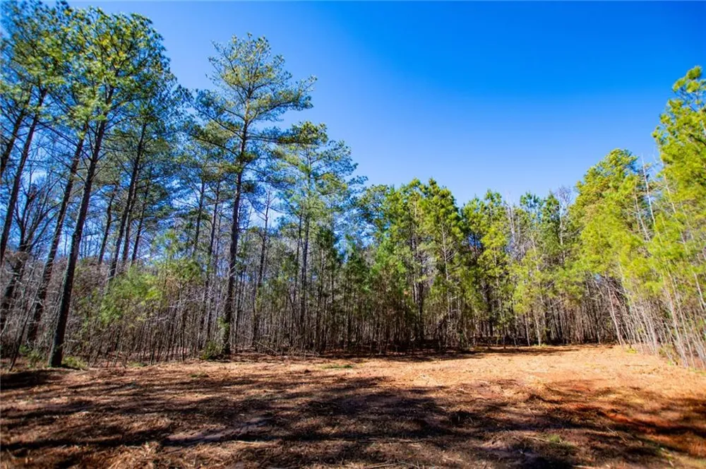 0 Hwy 166 E - 21+ acres Bowdon, GA 30108