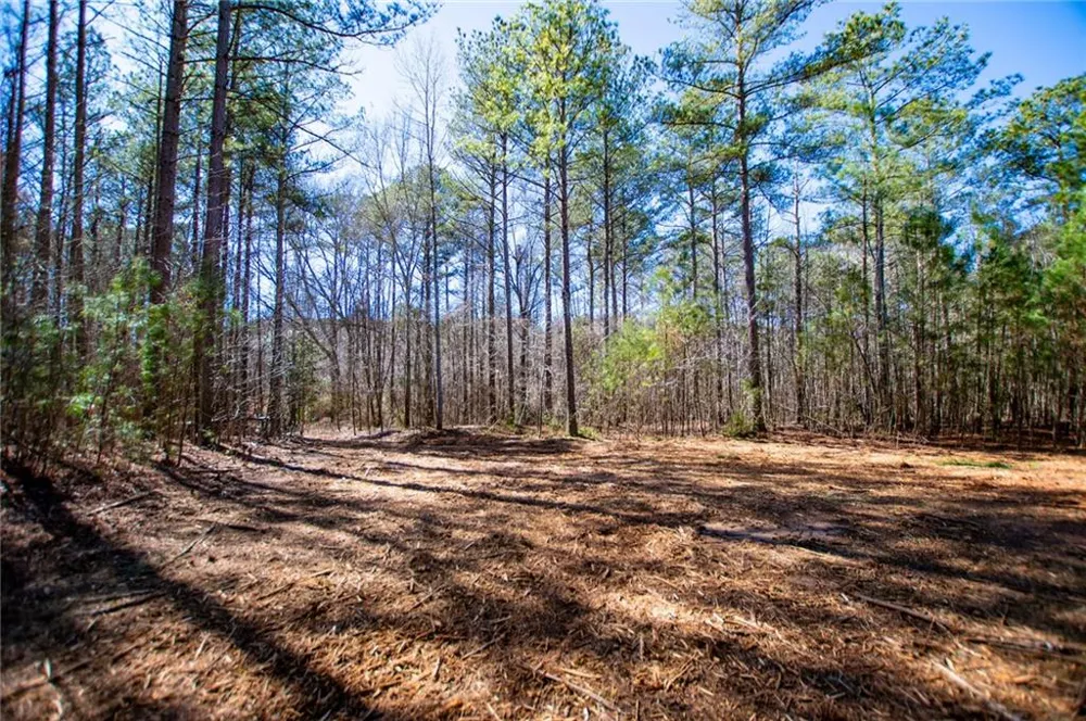 0 Hwy 166 E - 21+ acres Bowdon, GA 30108
