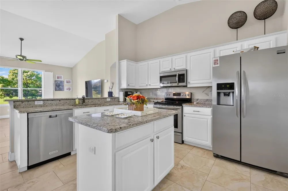 6022 FALCONBRIDGE PLACE Mount Dora, FL 32757
