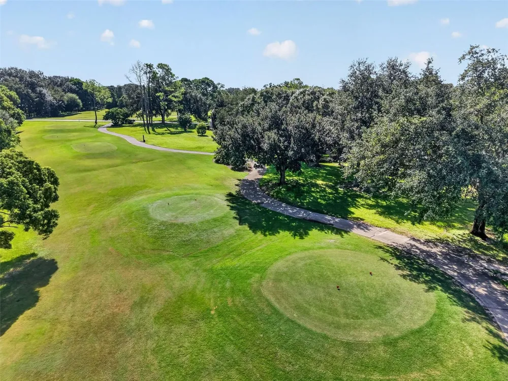 6022 FALCONBRIDGE PLACE Mount Dora, FL 32757