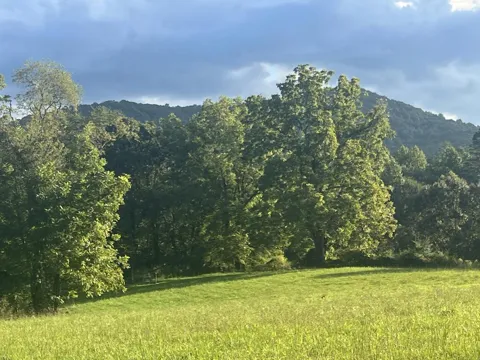5.8 ac Lebanon Road