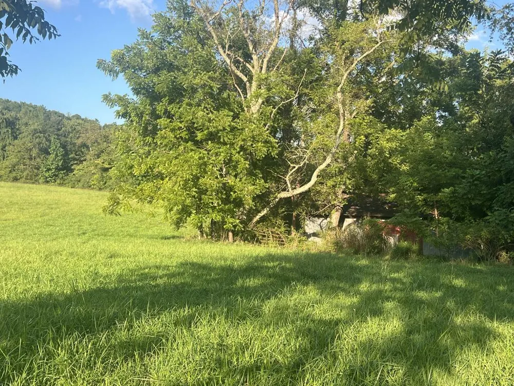 5.8 ac Lebanon Road Blue Ridge, GA 30513