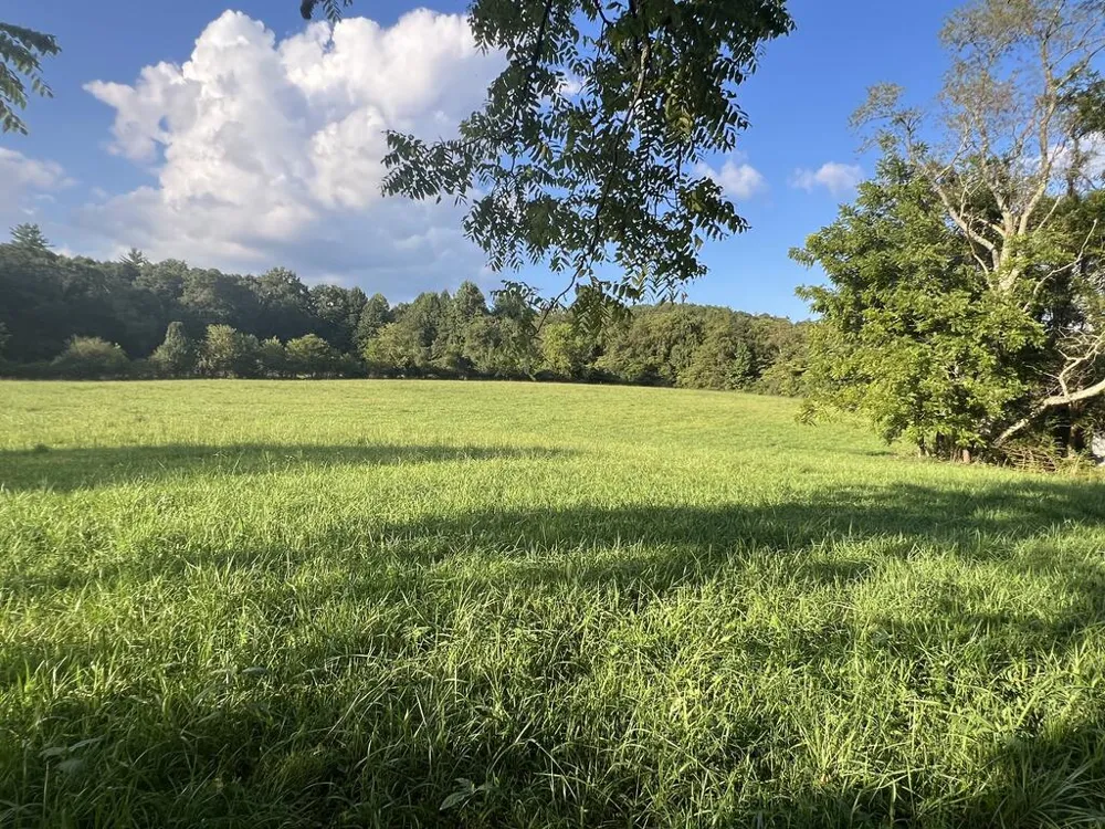 5.8 ac Lebanon Road Blue Ridge, GA 30513