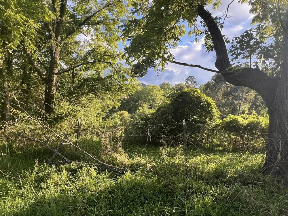 5.8 ac Lebanon Road Blue Ridge, GA 30513