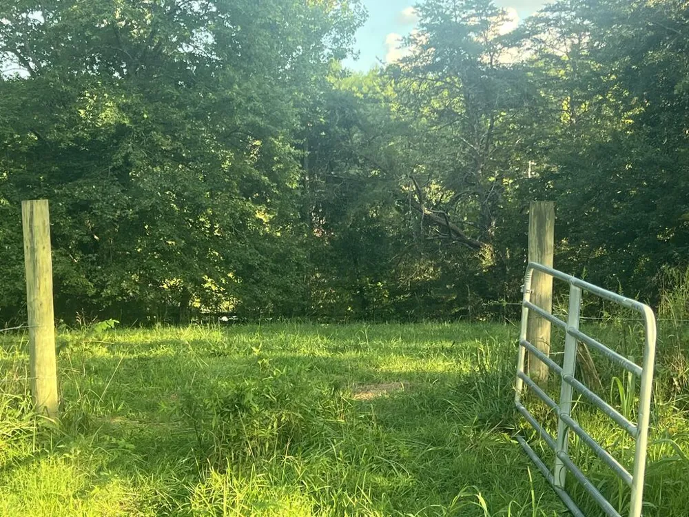 5.8 ac Lebanon Road Blue Ridge, GA 30513