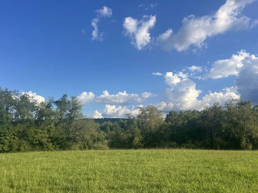 5.8 ac Lebanon Road Blue Ridge, GA 30513