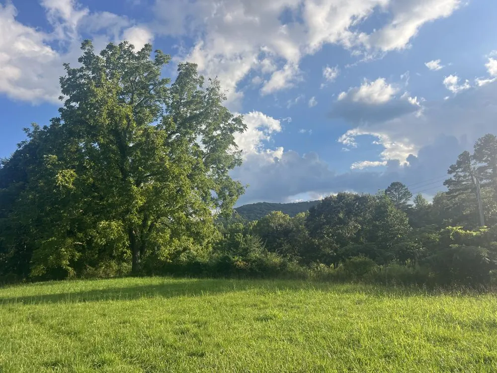 5.8 ac Lebanon Road Blue Ridge, GA 30513