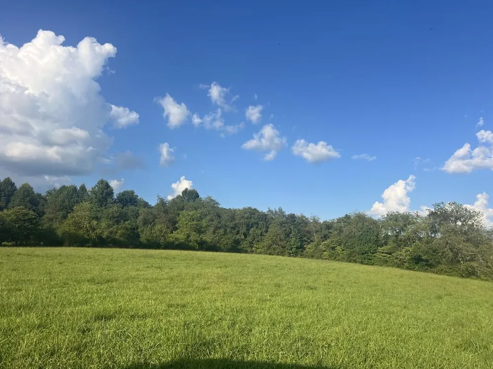 5.8 ac Lebanon Road Blue Ridge, GA 30513
