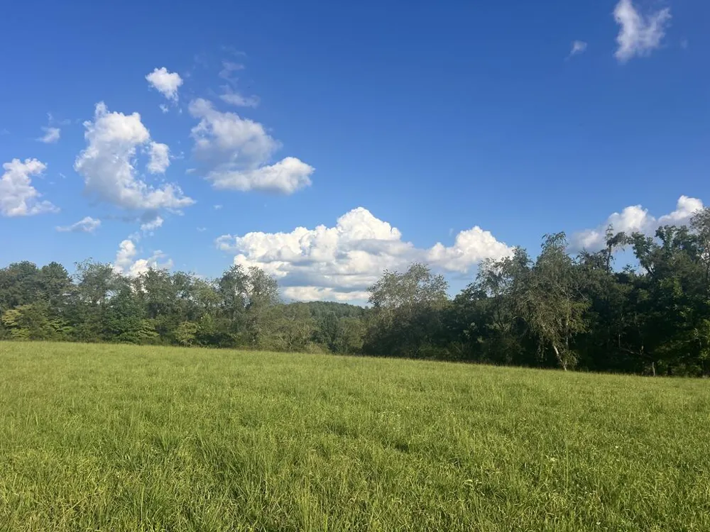 5.8 ac Lebanon Road Blue Ridge, GA 30513