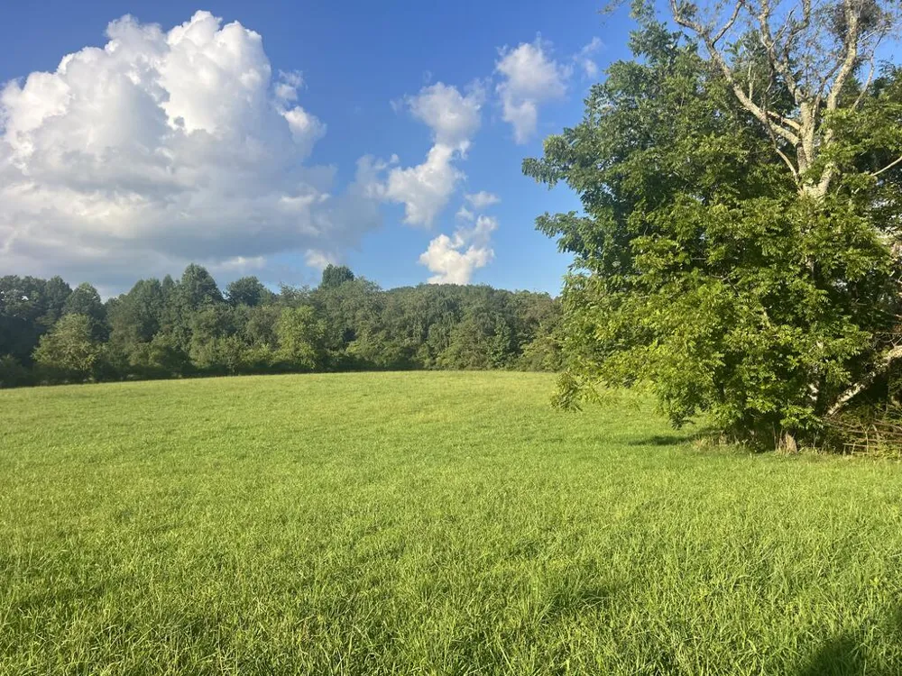 5.8 ac Lebanon Road Blue Ridge, GA 30513