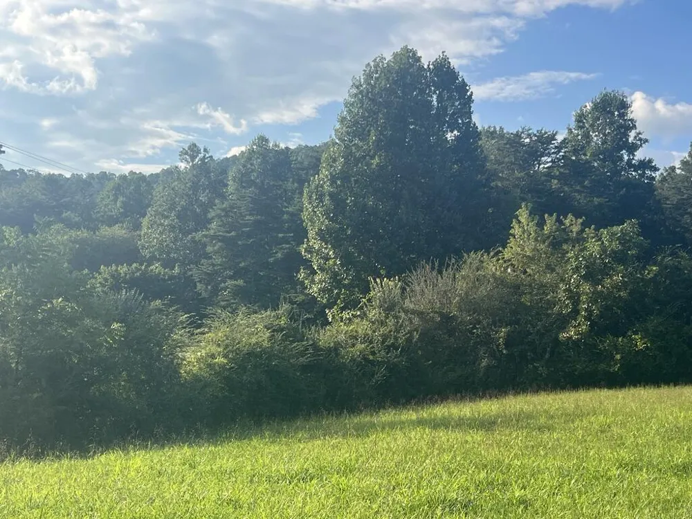 5.8 ac Lebanon Road Blue Ridge, GA 30513