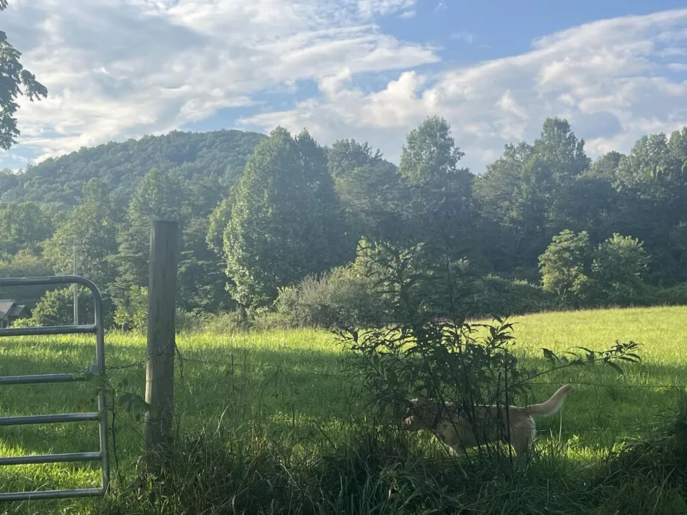 5.8 ac Lebanon Road Blue Ridge, GA 30513