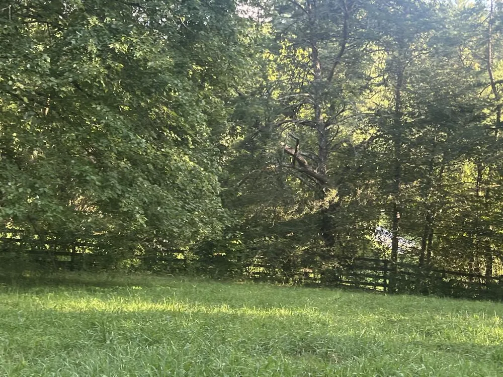 5.8 ac Lebanon Road Blue Ridge, GA 30513