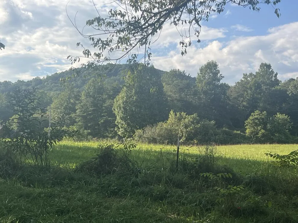 5.8 ac Lebanon Road Blue Ridge, GA 30513