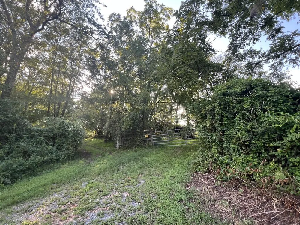 5.8 ac Lebanon Road Blue Ridge, GA 30513