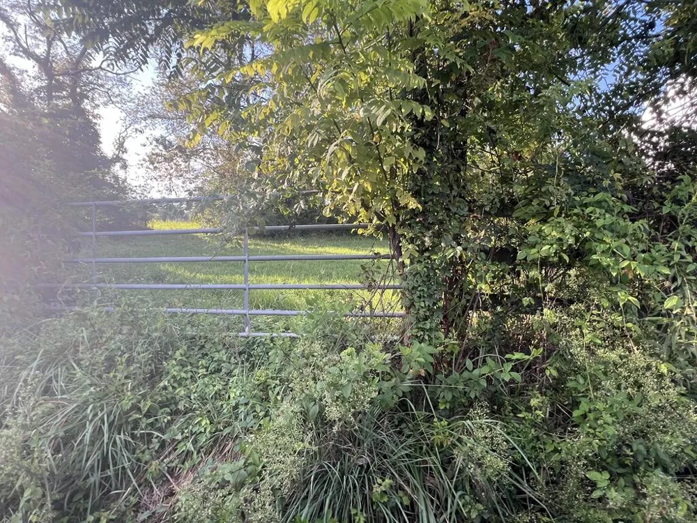 5.8 ac Lebanon Road Blue Ridge, GA 30513