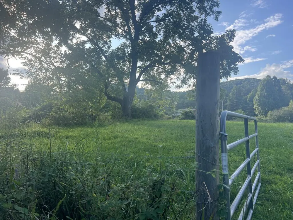 5.8 ac Lebanon Road Blue Ridge, GA 30513