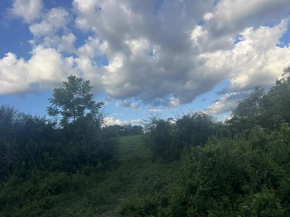 5.8 ac Lebanon Road Blue Ridge, GA 30513