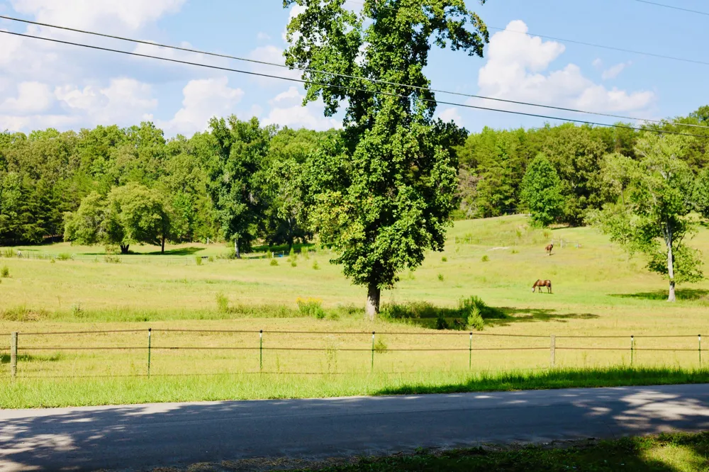 697 Newt Johnson Road Chickamauga, GA 30707