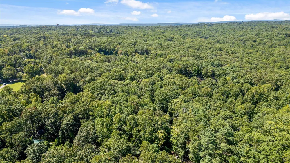 2223 Laurel Street Signal Mountain, TN 37377