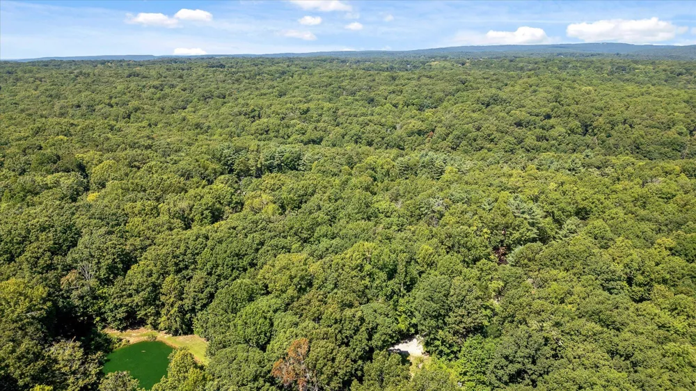 2223 Laurel Street Signal Mountain, TN 37377