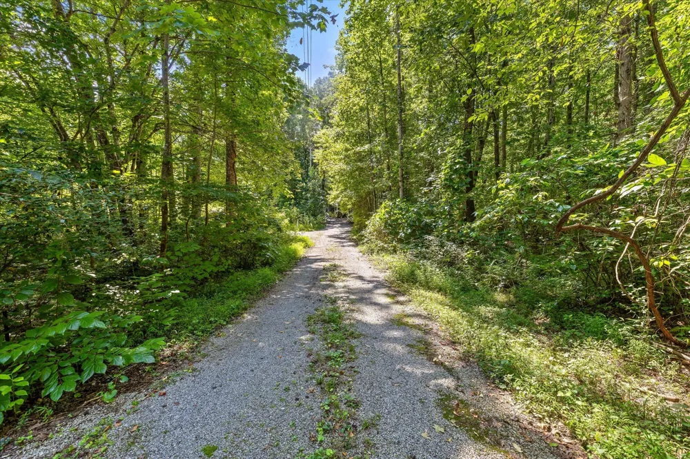 2223 Laurel Street Signal Mountain, TN 37377