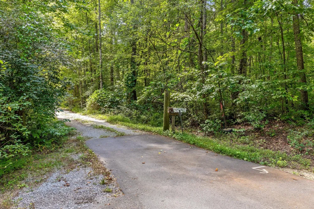 2223 Laurel Street Signal Mountain, TN 37377
