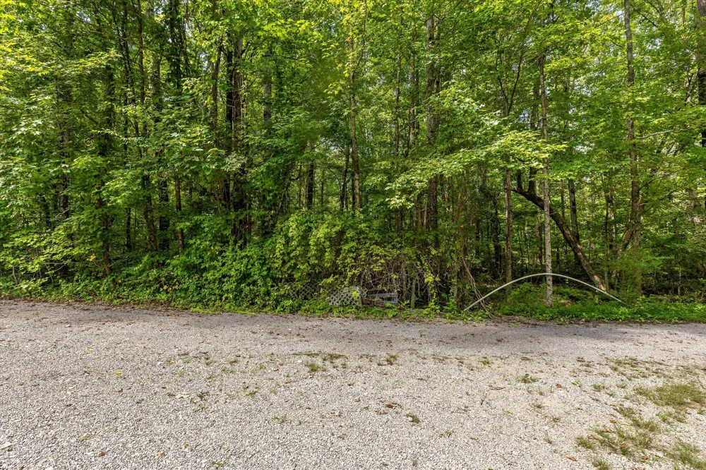 2223 Laurel Street Signal Mountain, TN 37377