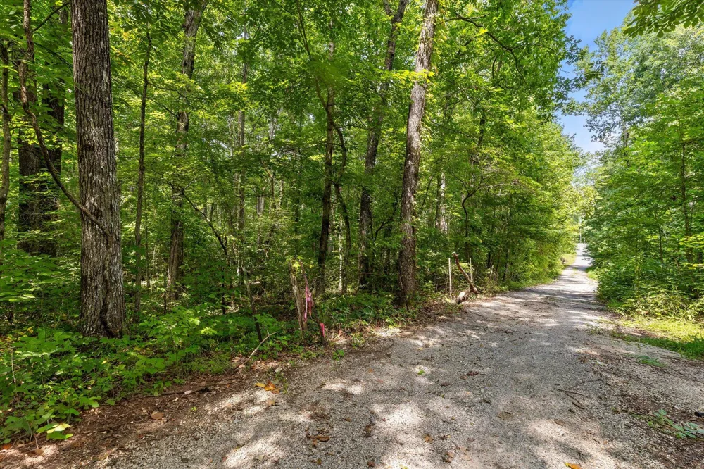 2223 Laurel Street Signal Mountain, TN 37377