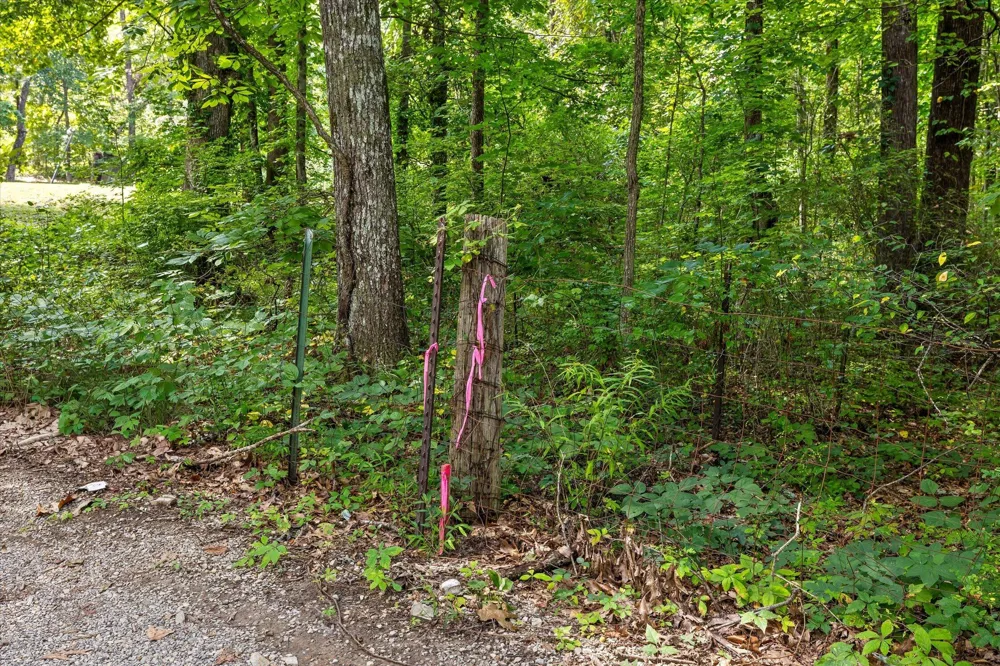 2223 Laurel Street Signal Mountain, TN 37377