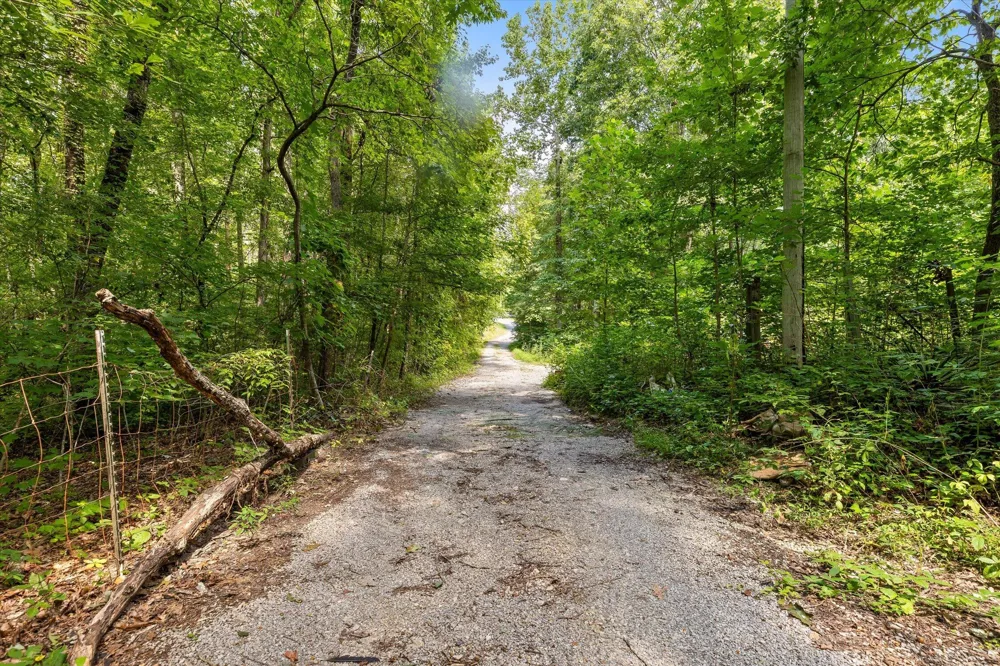 2223 Laurel Street Signal Mountain, TN 37377