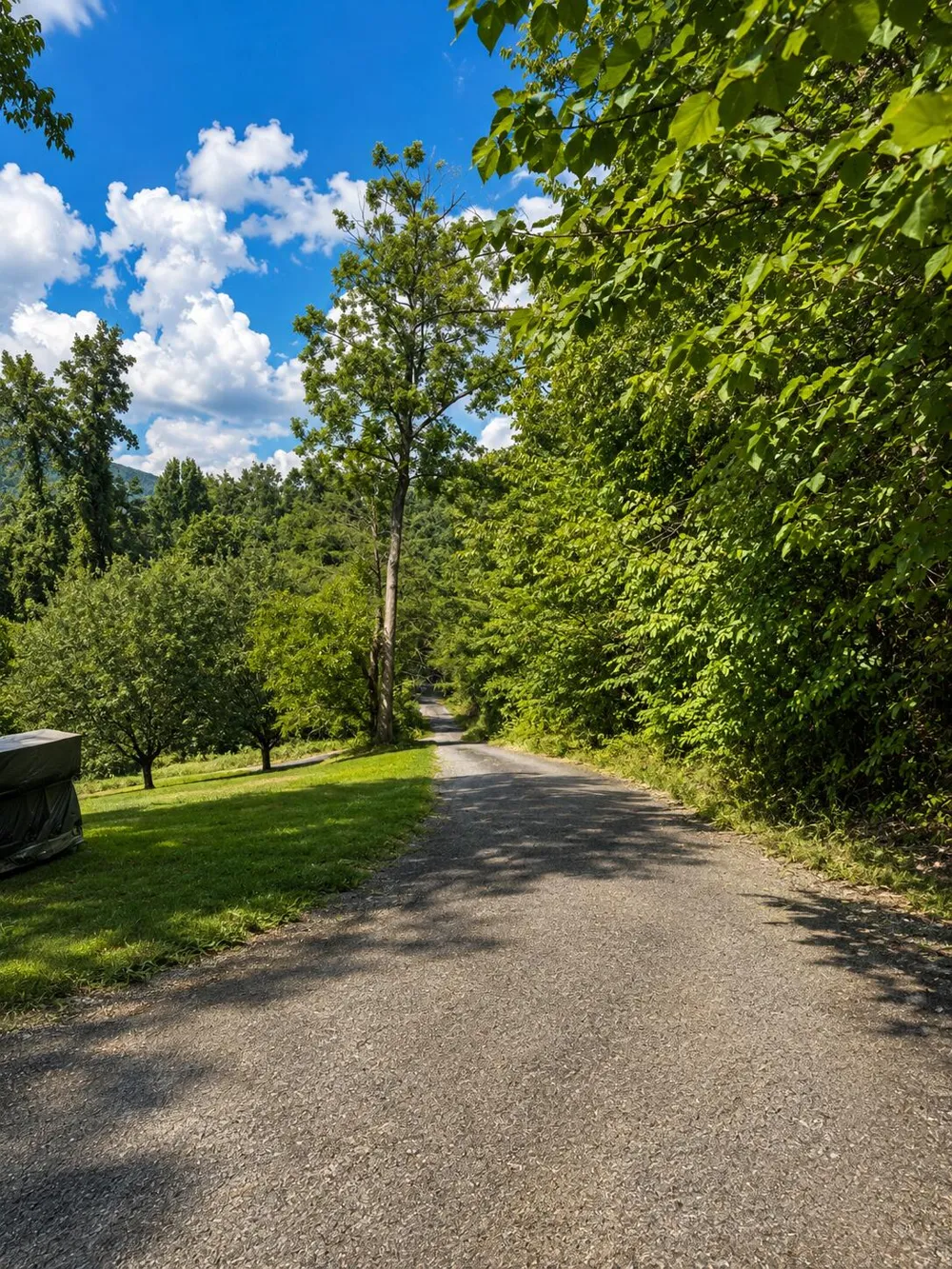 463 Hill And Dale Drive Trenton, GA 30752
