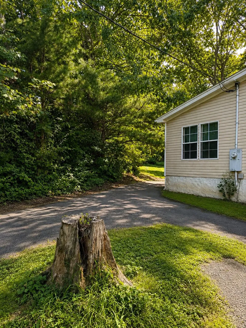 463 Hill And Dale Drive Trenton, GA 30752