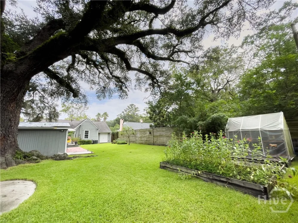 405 E 61st Street Savannah, GA 