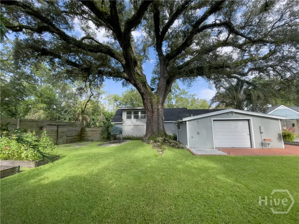 405 E 61st Street Savannah, GA 