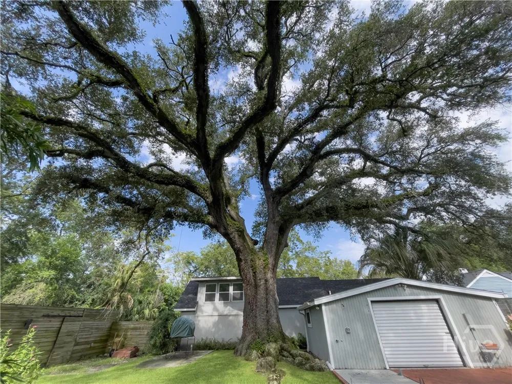 405 E 61st Street Savannah, GA 