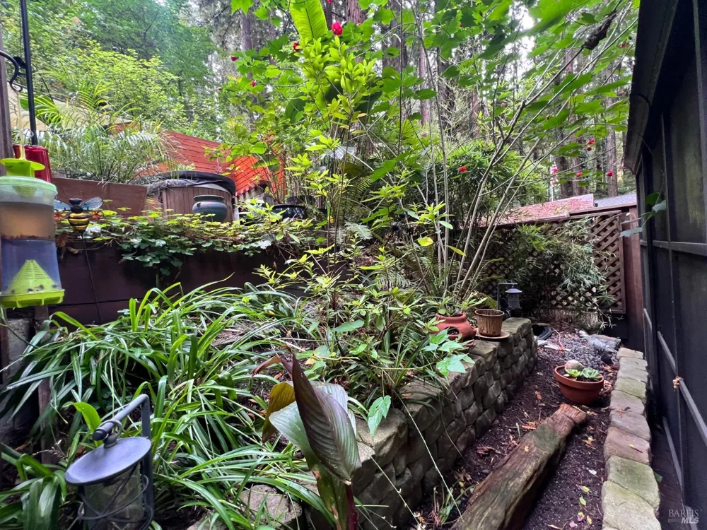14592 Canyon 1 Road Guerneville, CA 95446