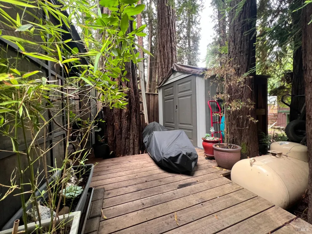 14592 Canyon 1 Road Guerneville, CA 95446