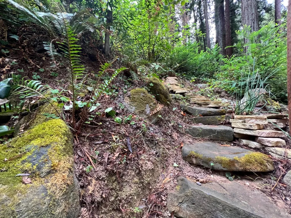 14592 Canyon 1 Road Guerneville, CA 95446