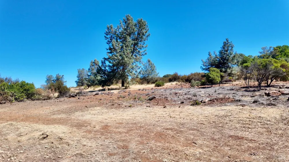 16362 19th Avenue Clearlake, CA 95422